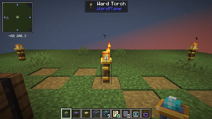 The Ward Torch