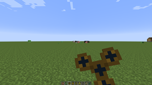 First-Person Spinning