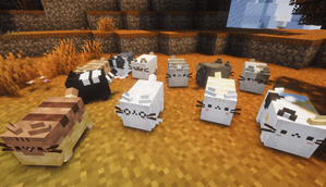 all pusheen variants
