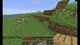 BlockToFeet.gif