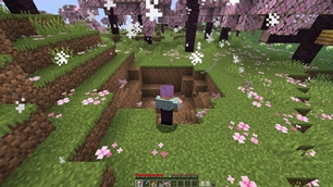 05-crater.jpg