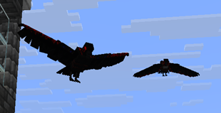 Tamed ravens