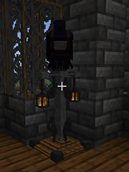 cargo sitting on a Raven Perch