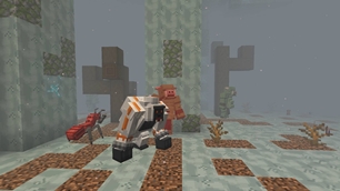The Misty Floors