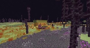v0.6.0 End Biomes