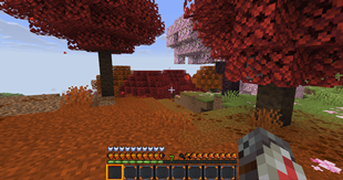 image (5).png