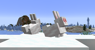 White Rabbits