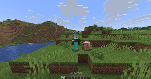 iron cp.png