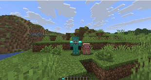 FAKE ARMOR.png