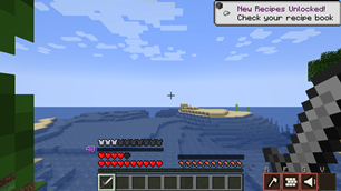 Level and skill bar on the HUD