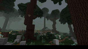 1-selva.png