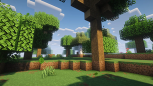 Forest (v2.0)
