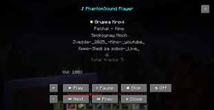 Main Interface