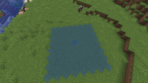 water