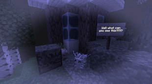 Showcase