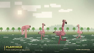 Flamingos