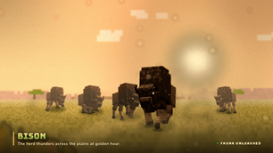 Bison