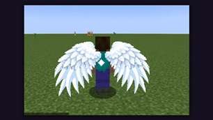 Angel Wings