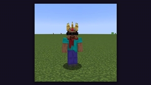 Royal Crown, Shade Eyewrap and Scarlet Scarf