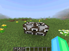 image-attachment_6910d0fa-1ad7-4348-a8ac-9795b7b0b015.png