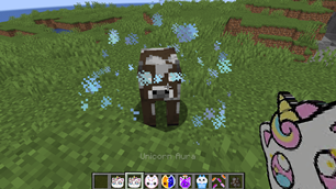 Unicorn Aura item for safe entity