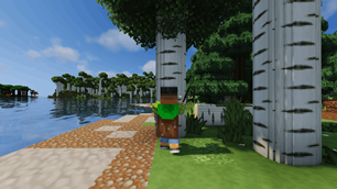 Animations