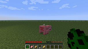 Minecraft 1.2.4 — classic ModLoader