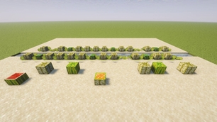 Cantaloupes