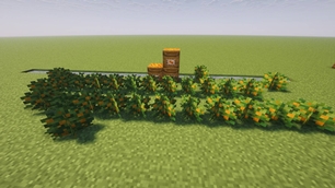 Salmonberries