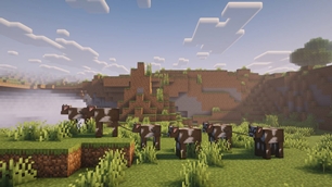 Cows + Lead Together.jpg