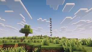 Naturalist Ducks + Tower.jpg