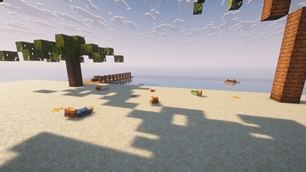 The Coast
