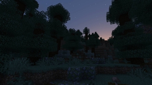 Twilight