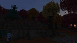 Dappled Twilight
