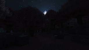 Moonlight