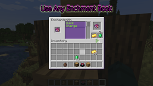 Use Any Enchantment, also the higher level book, the more it gets to cost