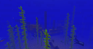 Shipwreck
