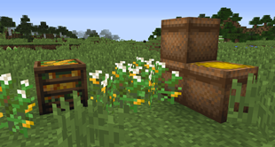 Corn + Blocks