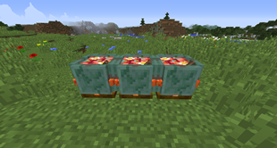 Guardian Soup