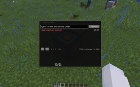 P2P (Player-to-Player)Trade & Chat