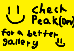 image-attachment_0010693b-ce67-4daa-9a88-d7815b69fae7.png