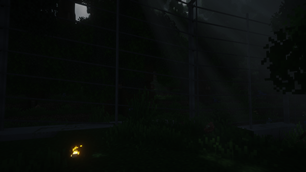 In... Asset 19 (INDEV)