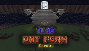 tube ant farm.