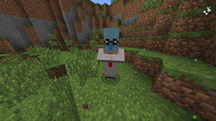 A new villager