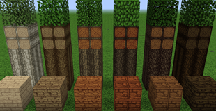 Screenshot5
