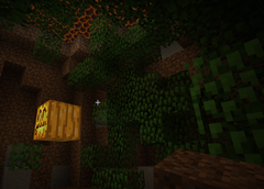 Underground Shrub
