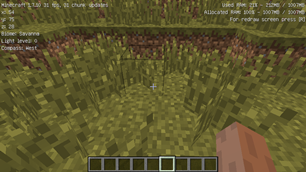 Debug screen EN