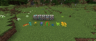 Machines and herbs