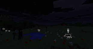 The night