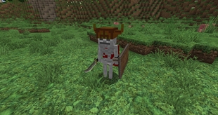SkeletonCloak